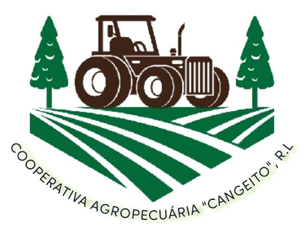 Nczconsulting empresa de consultoria em Angolae contabilidade...A NCZ-Consulting é Escritório de Consultoria voltada para o Desenvolvimento Empresarial nas áreas de Planificação Estratégica, Contabilidade, Consultoria, Gestão e RH.